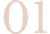 Home 6 01 free img